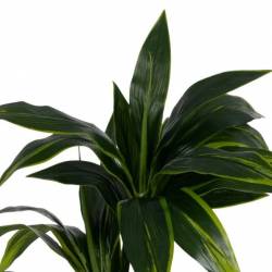 Dirbtinis augalas DRACAENA