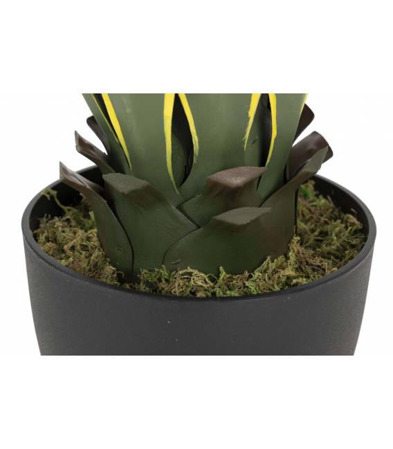 Dirbtinė gėlė AGAVE žalia