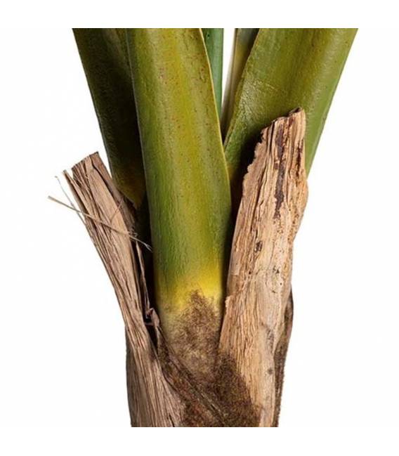 Dirbtinė gėlė COLOCASIA ESCULENTA žalia