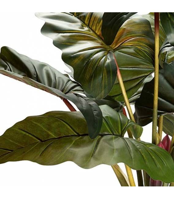 Dirbtinė gėlė COLOCASIA ESCULENTA žalia