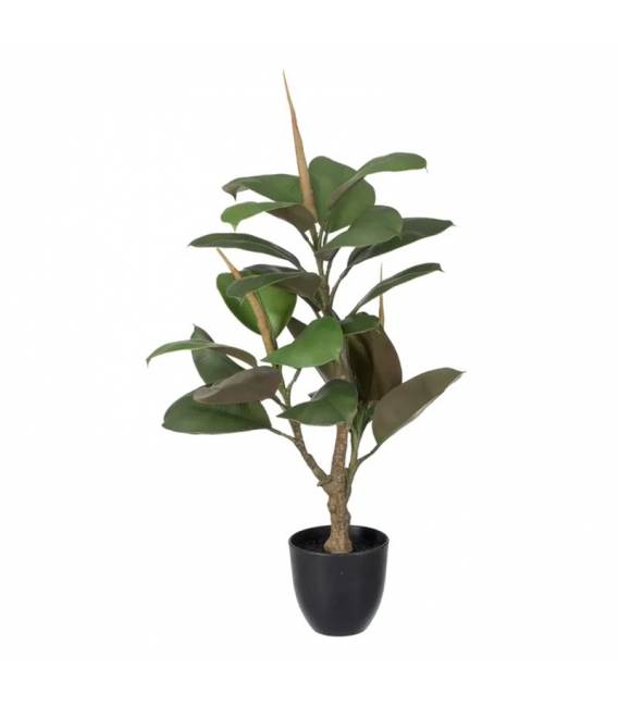 Dirbtinis augalas GREEN FICUS h76 žalias