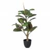 Dirbtinis augalas GREEN FICUS h76 žalias