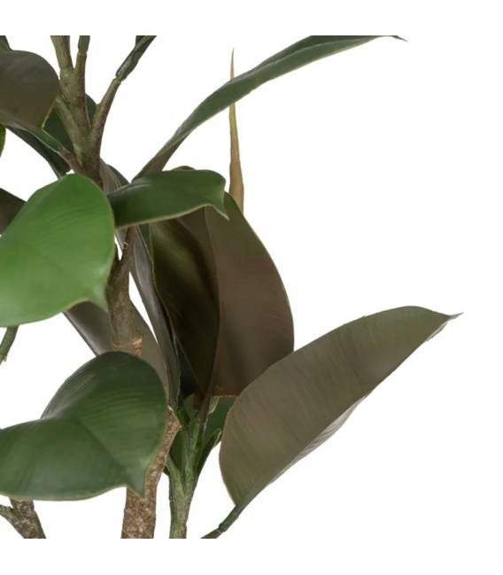 Dirbtinis augalas GREEN FICUS h76 žalias