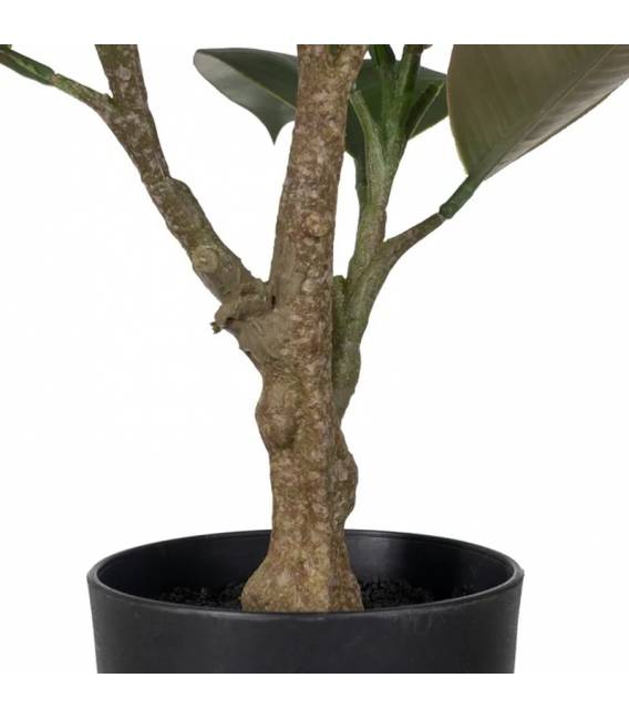 Dirbtinis augalas GREEN FICUS h76 žalias