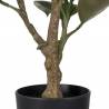 Dirbtinis augalas GREEN FICUS h76 žalias